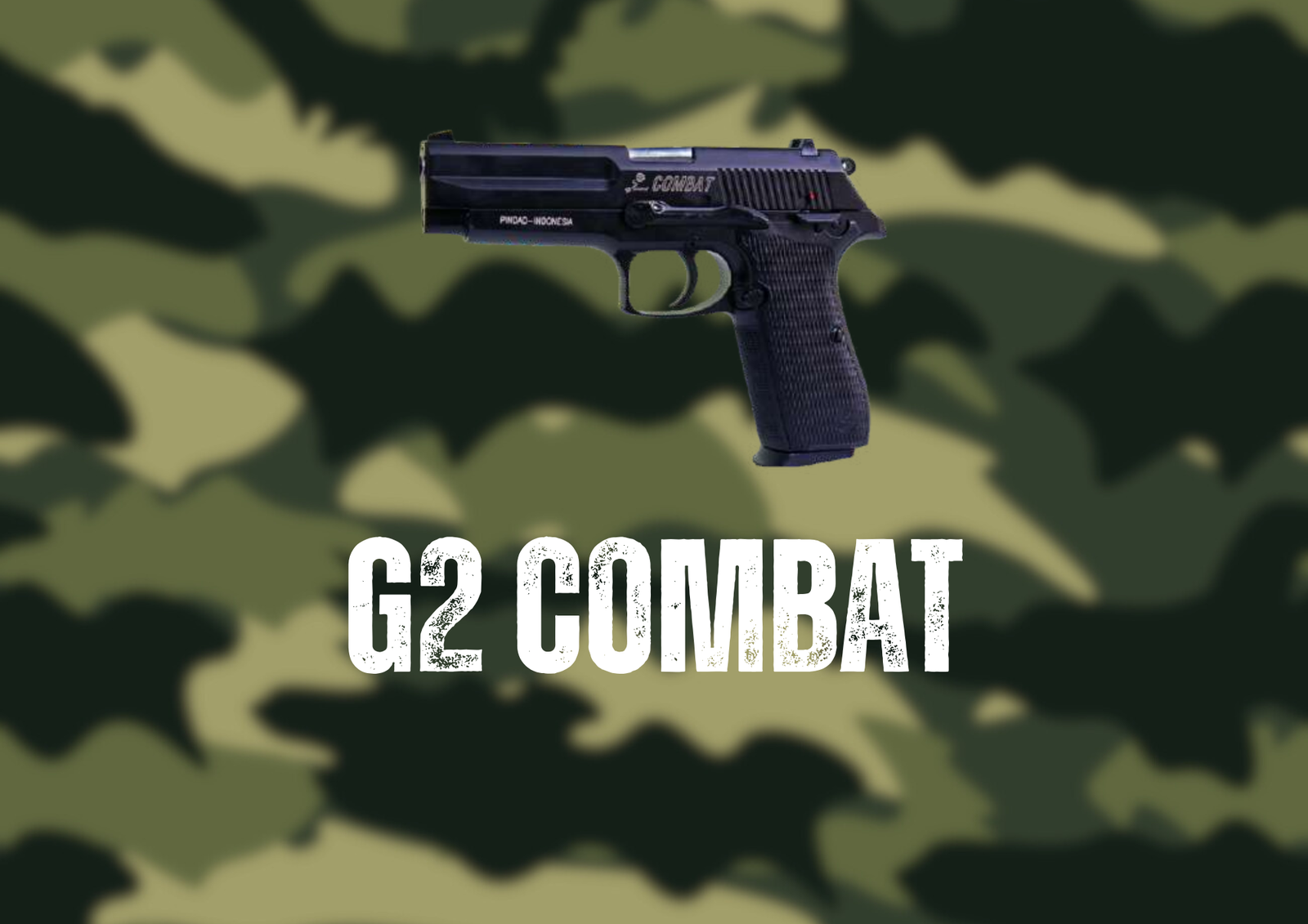 G2 Combat