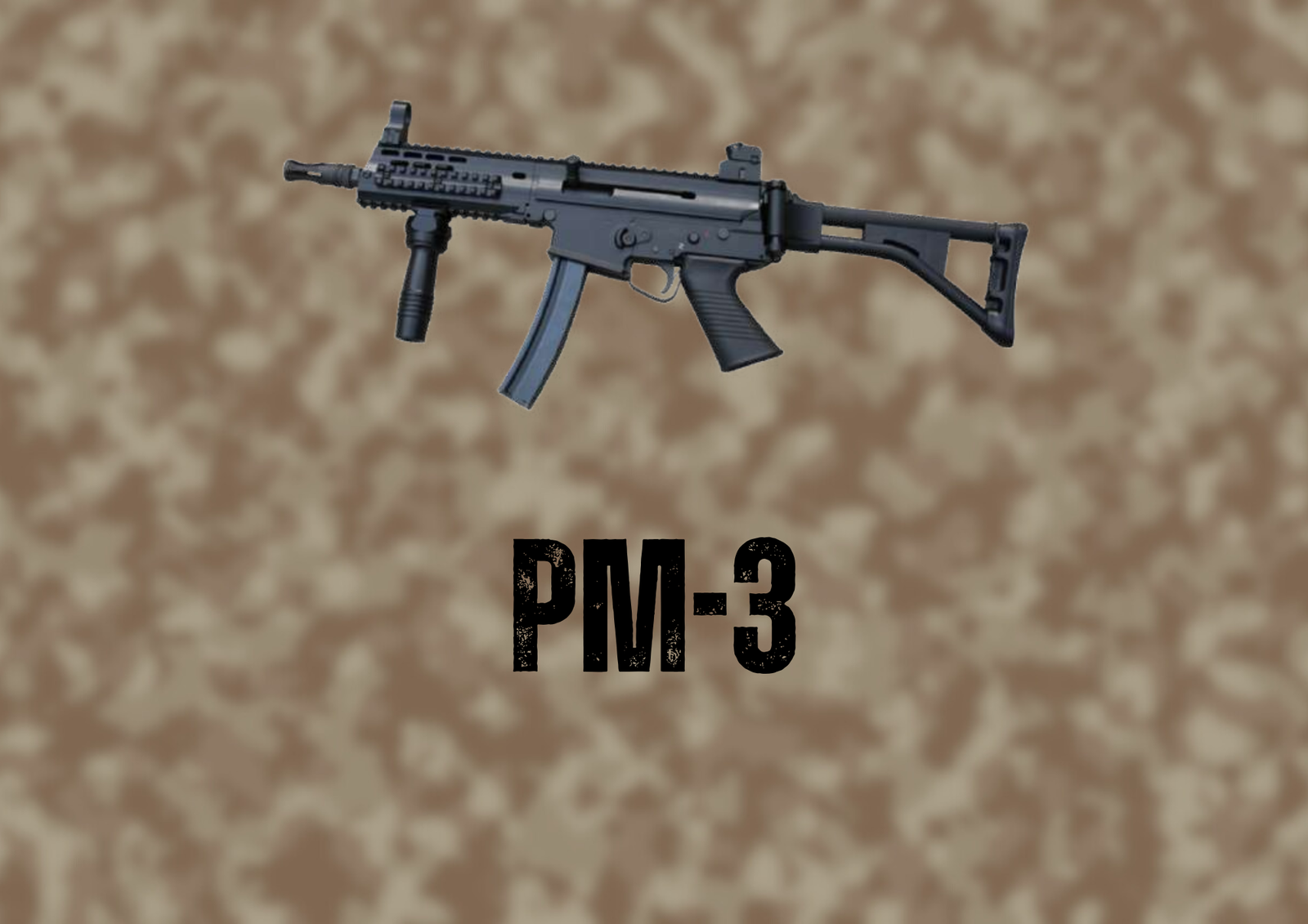PM-3